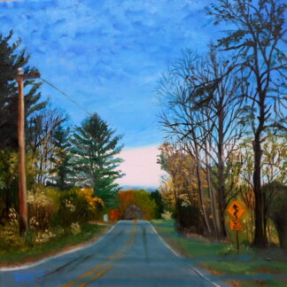 Country Road Take Me Home